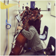 Symphony Cellists